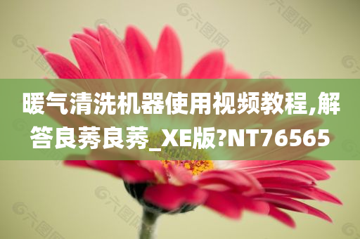 暖气清洗机器使用视频教程,解答良莠良莠_XE版?NT76565