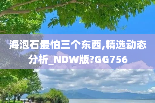 海泡石最怕三个东西,精选动态分析_NDW版?GG756