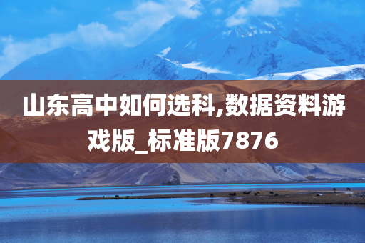 山东高中如何选科,数据资料游戏版_标准版7876