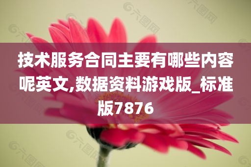 技术服务合同主要有哪些内容呢英文,数据资料游戏版_标准版7876