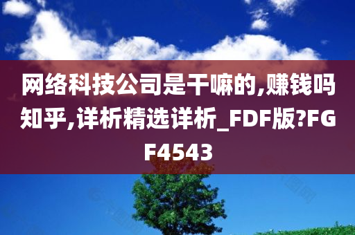 网络科技公司是干嘛的,赚钱吗知乎,详析精选详析_FDF版?FGF4543