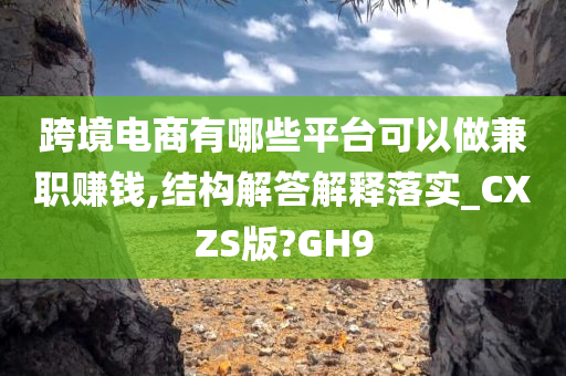 跨境电商有哪些平台可以做兼职赚钱,结构解答解释落实_CXZS版?GH9