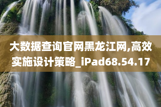 大数据查询官网黑龙江网,高效实施设计策略_iPad68.54.17