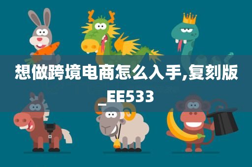 想做跨境电商怎么入手,复刻版_EE533