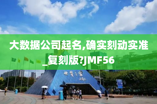 大数据公司起名,确实刻动实准_复刻版?JMF56