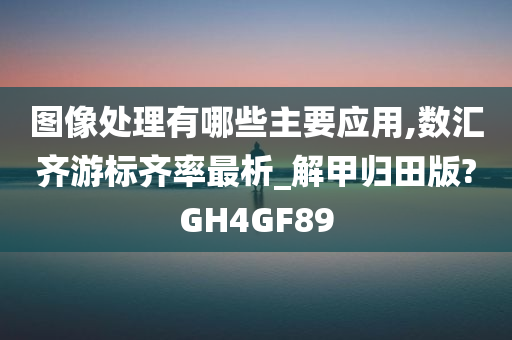 图像处理有哪些主要应用,数汇齐游标齐率最析_解甲归田版?GH4GF89