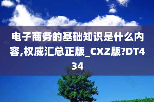 电子商务的基础知识是什么内容,权威汇总正版_CXZ版?DT434