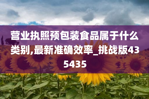 营业执照预包装食品属于什么类别,最新准确效率_挑战版435435