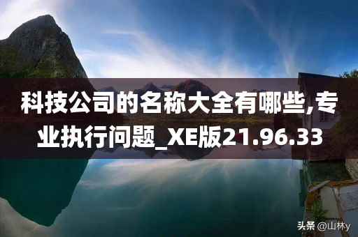 科技公司的名称大全有哪些,专业执行问题_XE版21.96.33