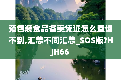 预包装食品备案凭证怎么查询不到,汇总不同汇总_SOS版?HJH66