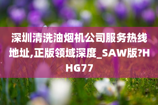 深圳清洗油烟机公司服务热线地址,正版领域深度_SAW版?HHG77