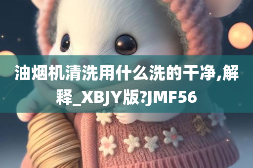 油烟机清洗用什么洗的干净,解释_XBJY版?JMF56