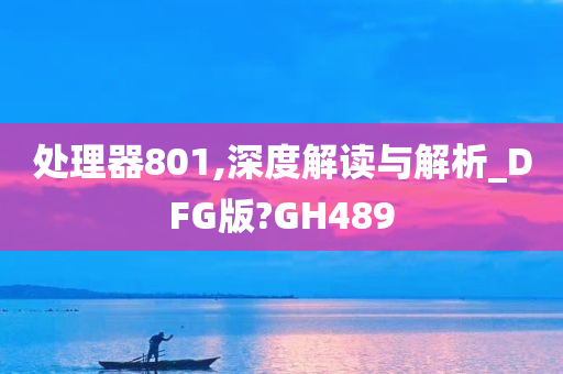 处理器801,深度解读与解析_DFG版?GH489