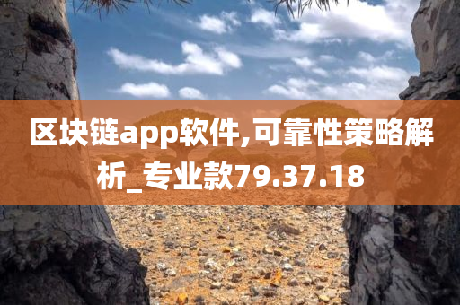 区块链app软件,可靠性策略解析_专业款79.37.18