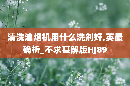 清洗油烟机用什么洗剂好,英最确析_不求甚解版HJ89