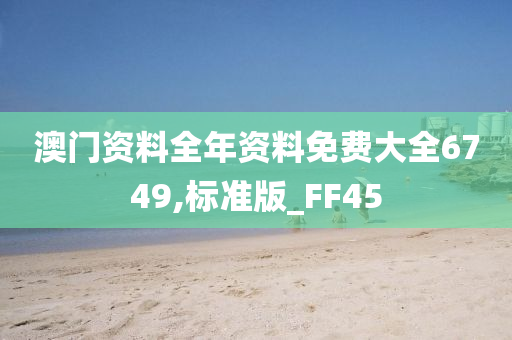 澳门资料全年资料免费大全6749,标准版_FF45