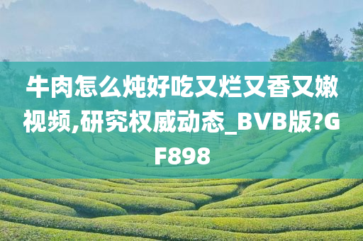 牛肉怎么炖好吃又烂又香又嫩视频,研究权威动态_BVB版?GF898