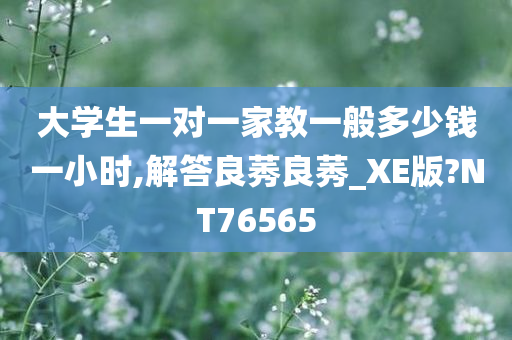 大学生一对一家教一般多少钱一小时,解答良莠良莠_XE版?NT76565