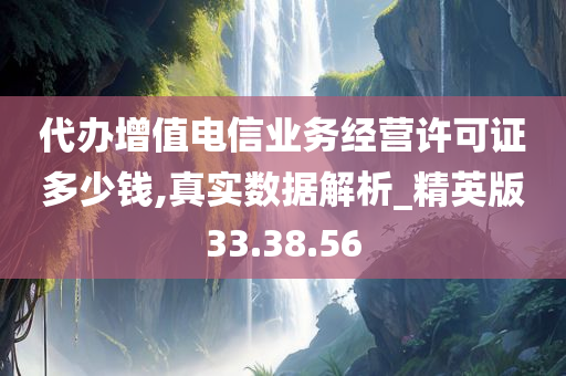 代办增值电信业务经营许可证多少钱,真实数据解析_精英版33.38.56