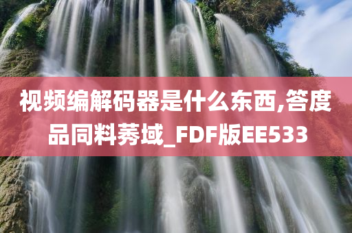 视频编解码器是什么东西,答度品同料莠域_FDF版EE533