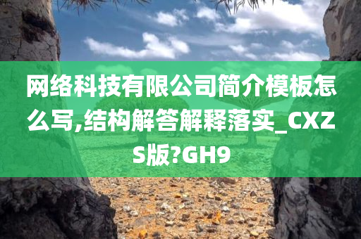 网络科技有限公司简介模板怎么写,结构解答解释落实_CXZS版?GH9