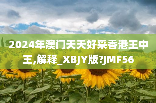 2024年澳门天天好采香港王中王,解释_XBJY版?JMF56