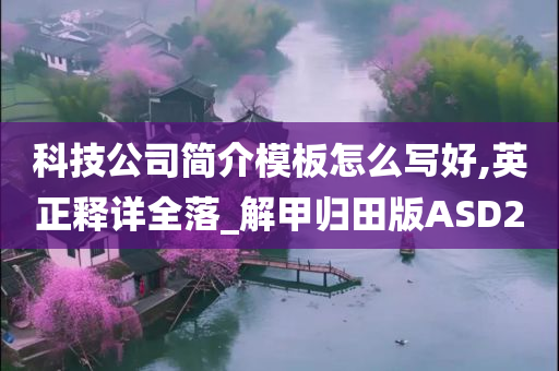 科技公司简介模板怎么写好,英正释详全落_解甲归田版ASD2