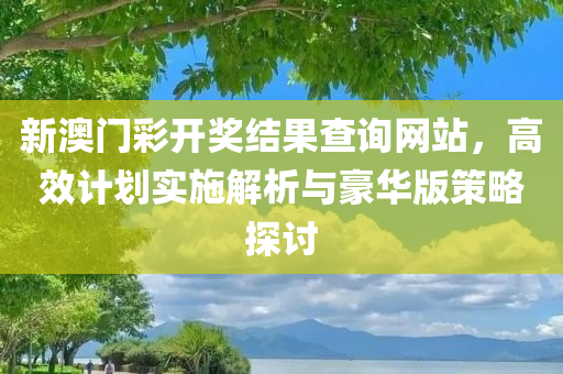 新澳门彩开奖结果查询网站，高效计划实施解析与豪华版策略探讨