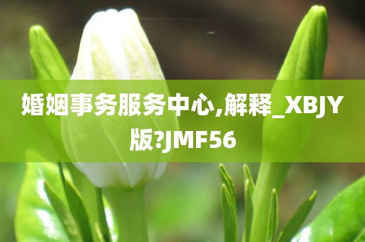 婚姻事务服务中心,解释_XBJY版?JMF56