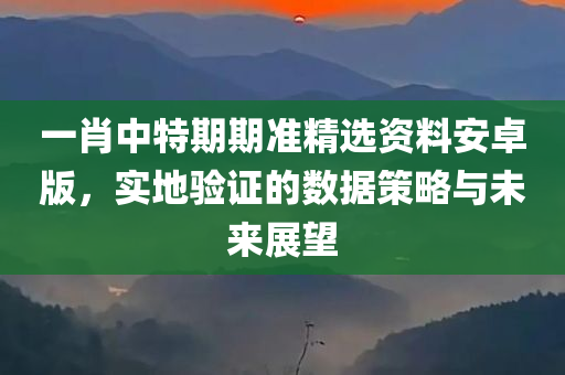 一肖中特期期准精选资料安卓版，实地验证的数据策略与未来展望