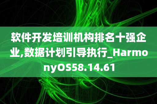 软件开发培训机构排名十强企业,数据计划引导执行_HarmonyOS58.14.61