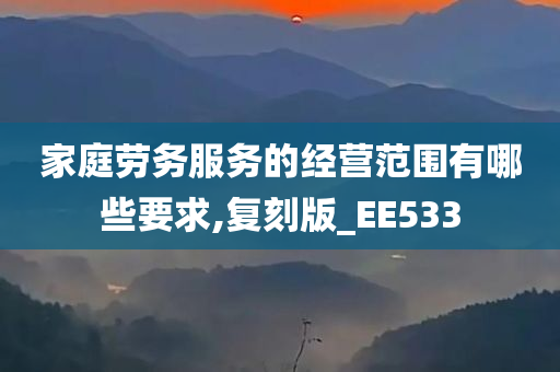 家庭劳务服务的经营范围有哪些要求,复刻版_EE533