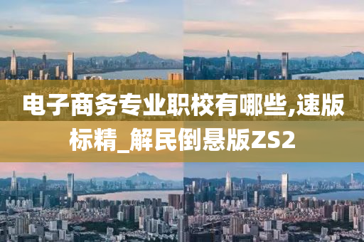 电子商务专业职校有哪些,速版标精_解民倒悬版ZS2