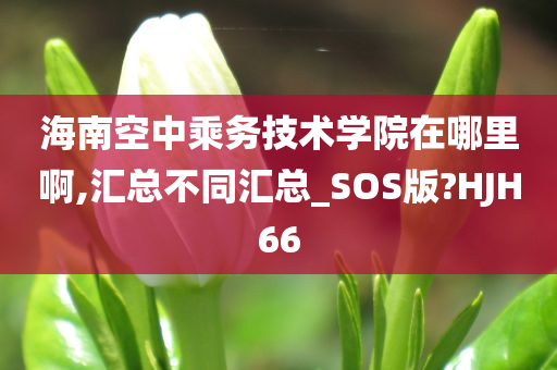 海南空中乘务技术学院在哪里啊,汇总不同汇总_SOS版?HJH66