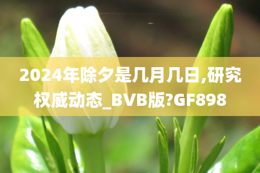 2024年除夕是几月几日,研究权威动态_BVB版?GF898