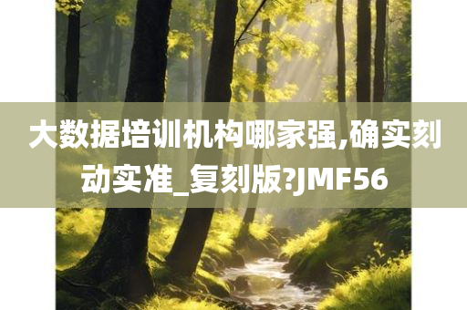 大数据培训机构哪家强,确实刻动实准_复刻版?JMF56