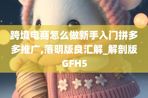 跨境电商怎么做新手入门拼多多推广,落明版良汇解_解剖版GFH5