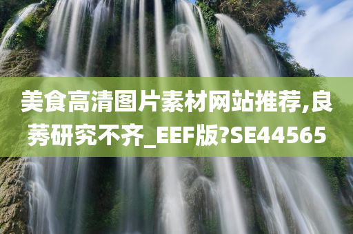 美食高清图片素材网站推荐,良莠研究不齐_EEF版?SE44565