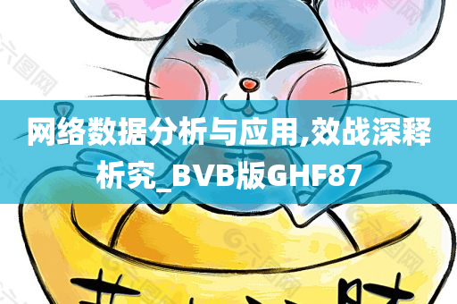 网络数据分析与应用,效战深释析究_BVB版GHF87