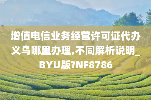 增值电信业务经营许可证代办义乌哪里办理,不同解析说明_BYU版?NF8786