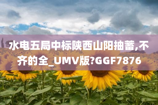 水电五局中标陕西山阳抽蓄,不齐的全_UMV版?GGF7876