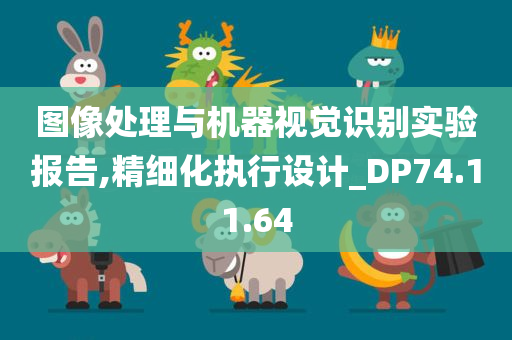 图像处理与机器视觉识别实验报告,精细化执行设计_DP74.11.64