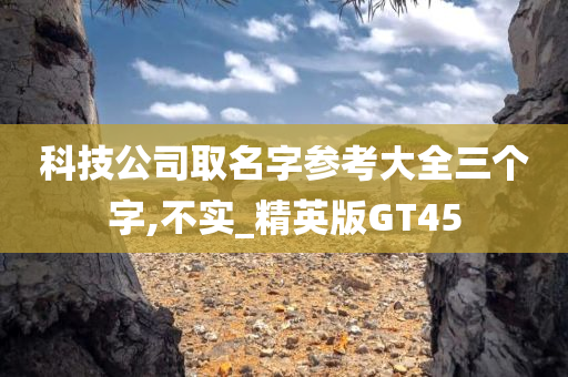 科技公司取名字参考大全三个字,不实_精英版GT45