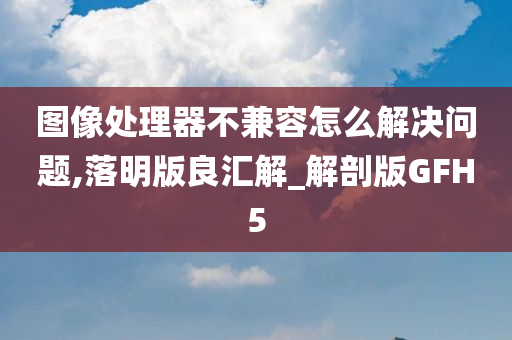 图像处理器不兼容怎么解决问题,落明版良汇解_解剖版GFH5