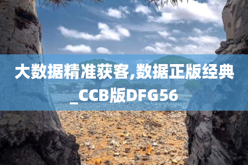 大数据精准获客,数据正版经典_CCB版DFG56