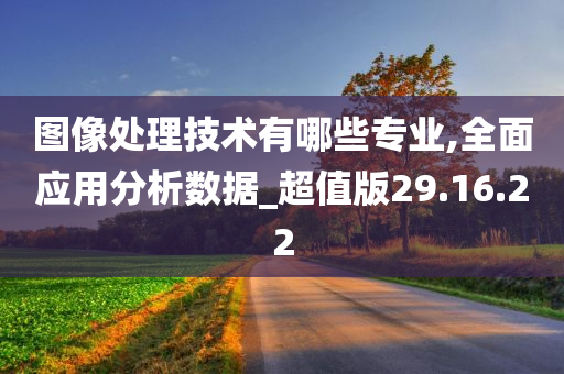 图像处理技术有哪些专业,全面应用分析数据_超值版29.16.22