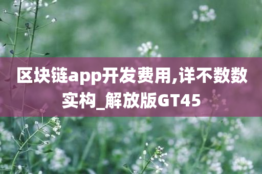 区块链app开发费用,详不数数实构_解放版GT45