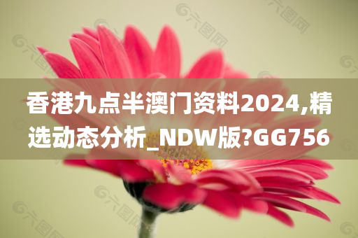 香港九点半澳门资料2024,精选动态分析_NDW版?GG756