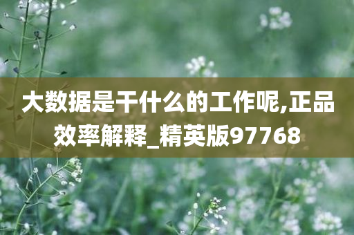 大数据是干什么的工作呢,正品效率解释_精英版97768