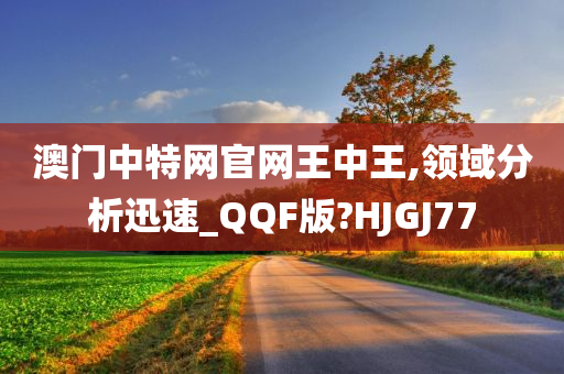 澳门中特网官网王中王,领域分析迅速_QQF版?HJGJ77